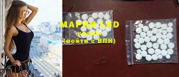 mdpv Бородино