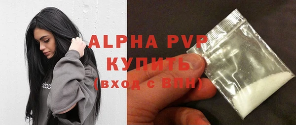 mdpv Бородино