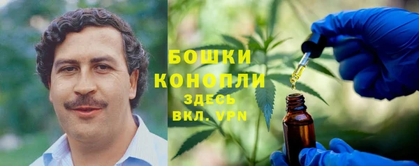 mdpv Бородино