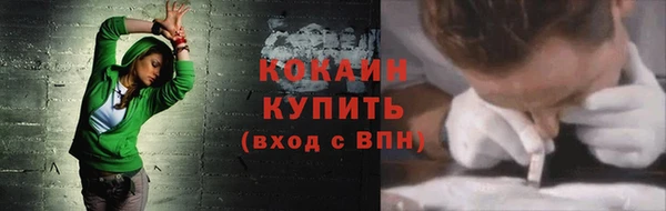 молекула духа Богородицк