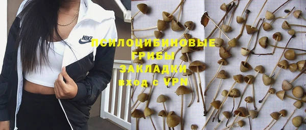 ешки Бугульма