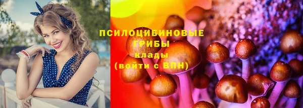 mdpv Бородино