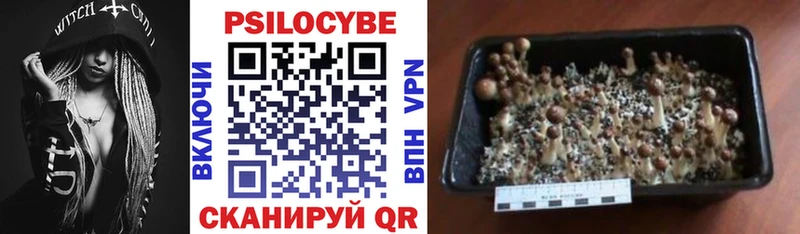 Псилоцибиновые грибы MAGIC MUSHROOMS Озёры